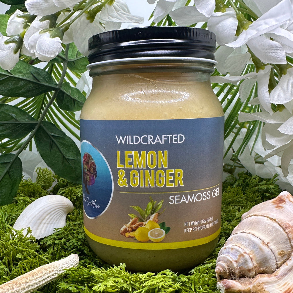 Lemon Ginger 16oz